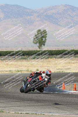 media/Jun-30-2024-TrackDaz (Sun) [[975061b0f9]]/Group A/Grapevine (9am)/